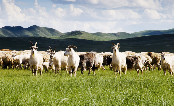 持續(xù)研發(fā)，自主專(zhuān)利